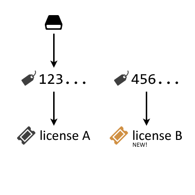 Common license key model, new key for every new license.